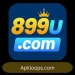 899u game